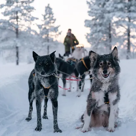 Semesteranläggning (resort) Malangen