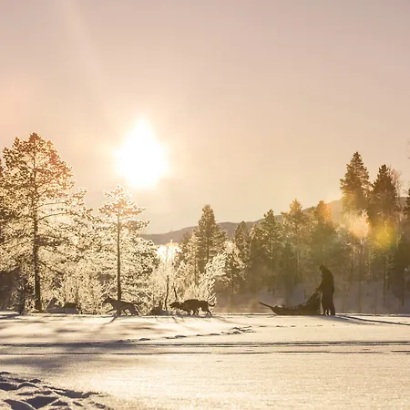 Malangen 4* Mestervik