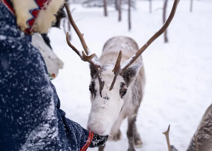 Malangen 4* Mestervik