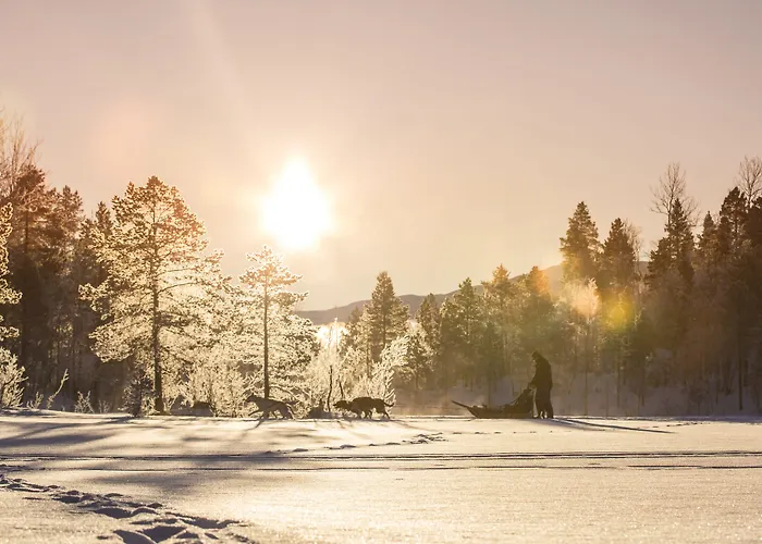 Malangen 4* Mestervik