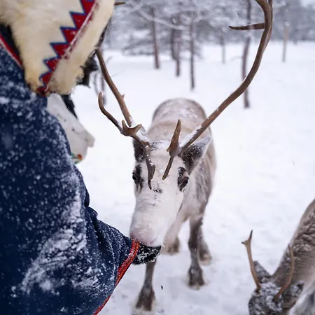 Malangen 4* Mestervik